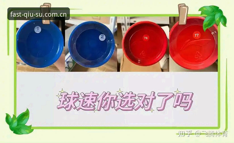 掌握球速体育平台入口与品牌评测的实用指南